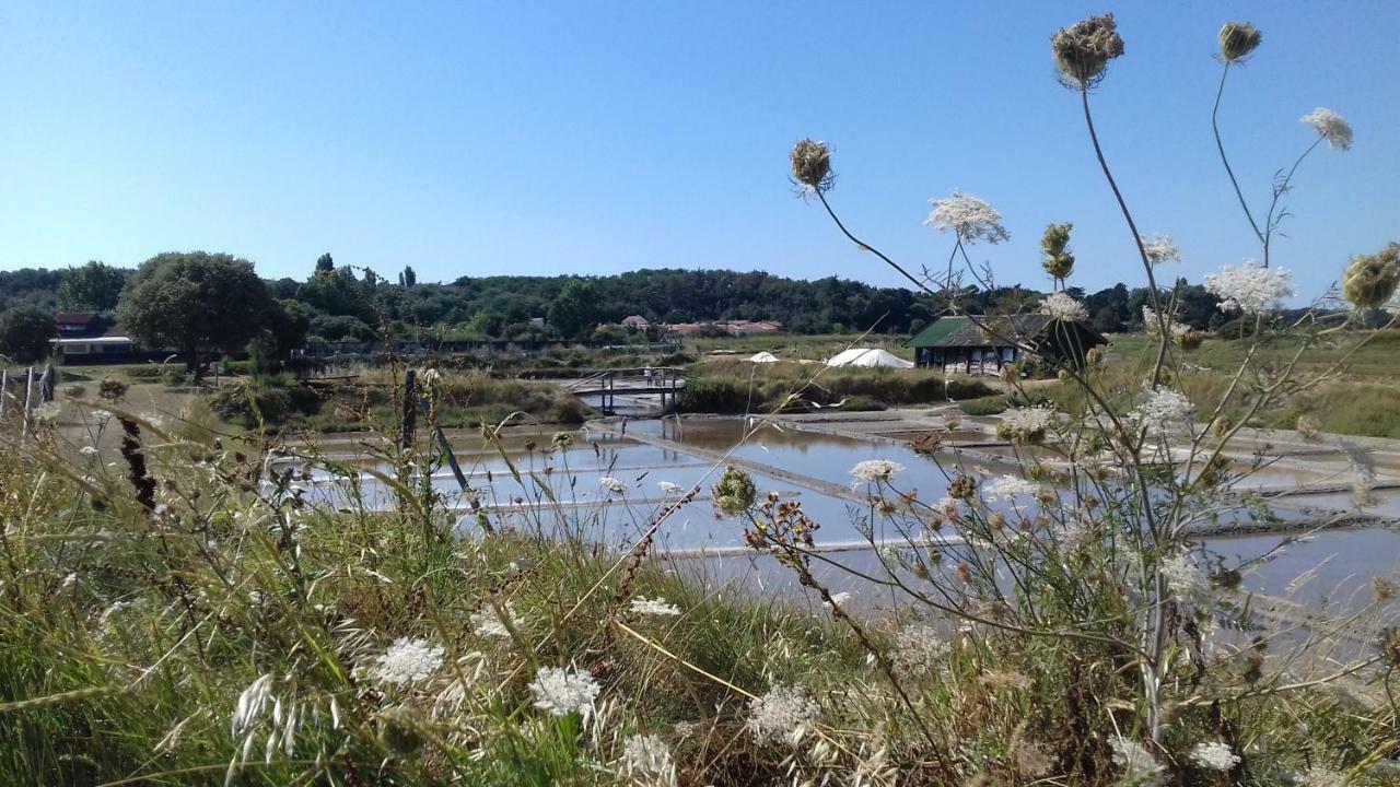 La Chaumette Apartman Les Sables-dʼOlonne Kültér fotó